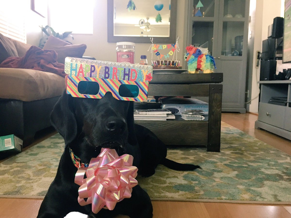 RebeccaRadock's tweet photo. I see you Oct 13 ... get ready fo me! #birthday #mydogisbetterthanyours #actor #gettingoldereveryday https://t.co/DlUH5MkDuq