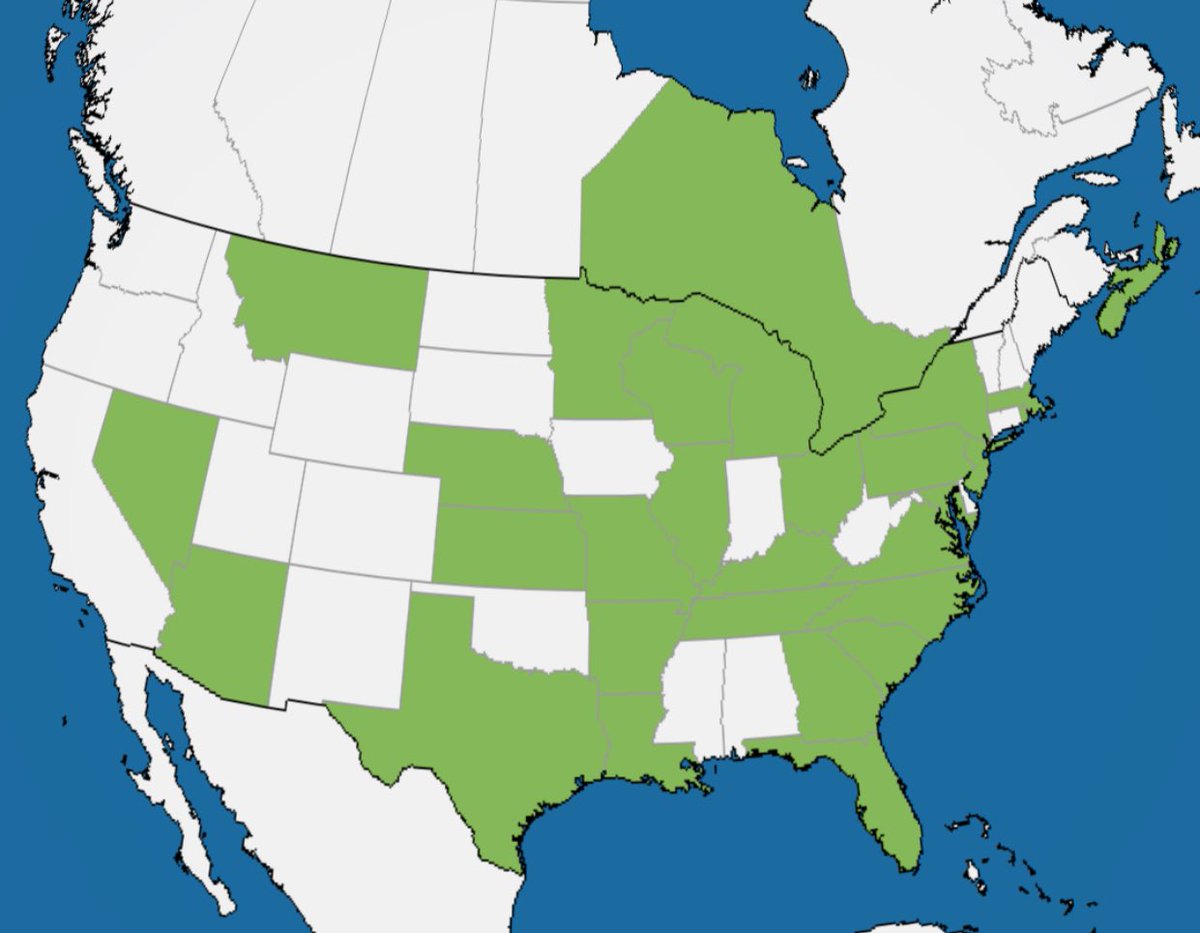 PascoSheriff's tweet photo. Our next map of the night! Let's keep up this green #9PMRoutine https://t.co/VqdS1gjPNR