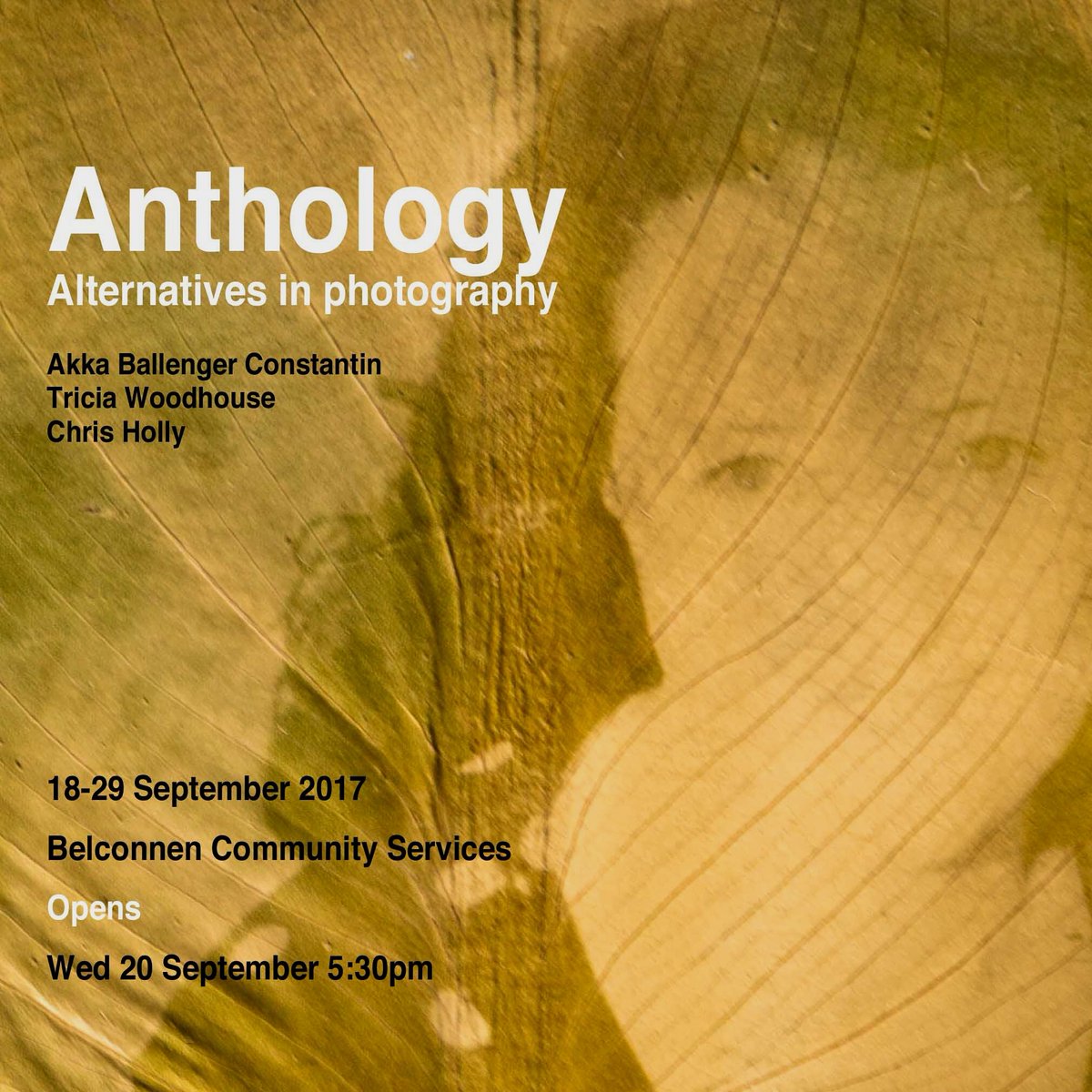 PlanetAkka's tweet image. Come along 2 our opening tonight @holimage Tricia Woodhouse and yours truly have put together a collection of Anthotypes #CBRarts #Canberra