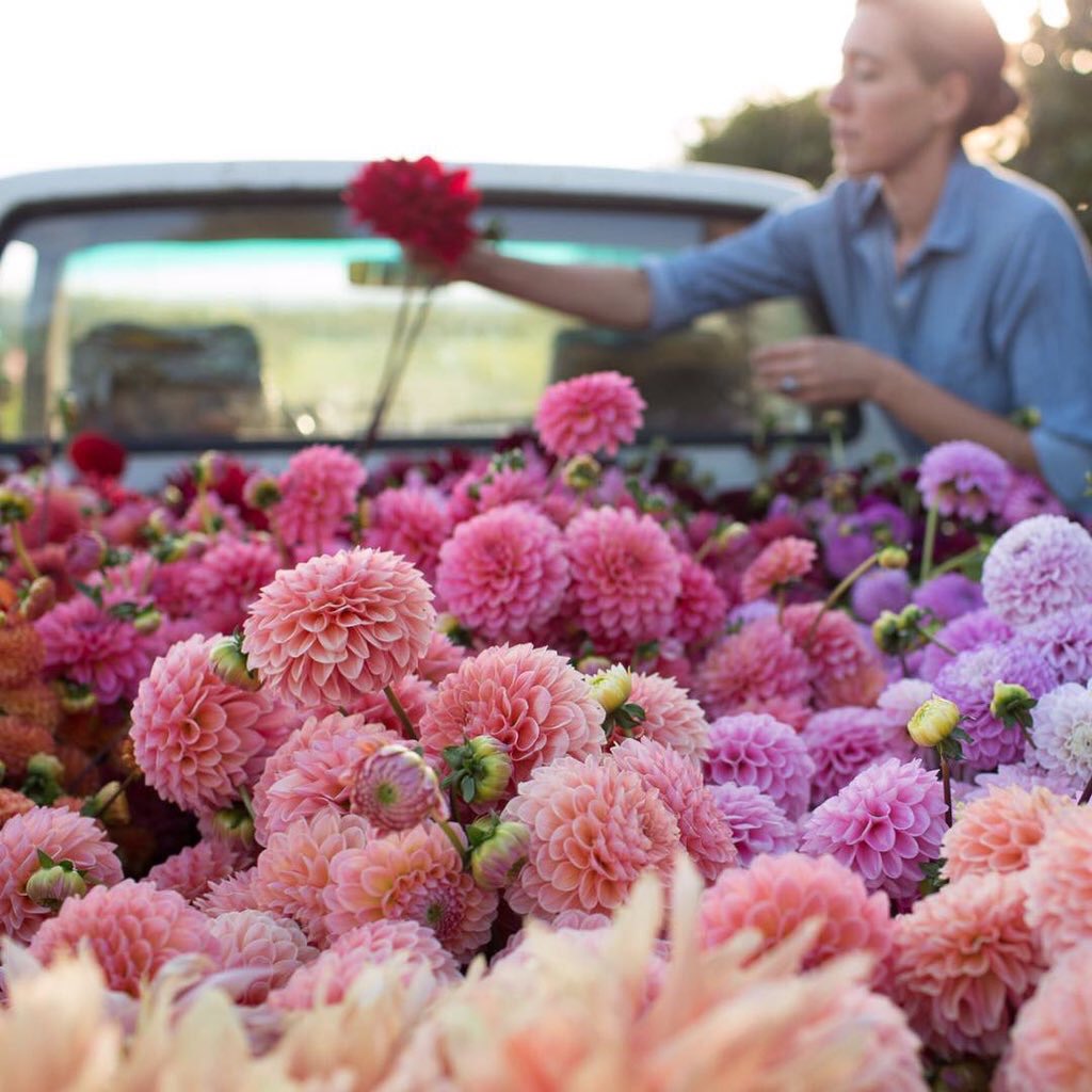 portrayaI's tweet photo. floral delivery https://t.co/WkKk2Vy3Jr