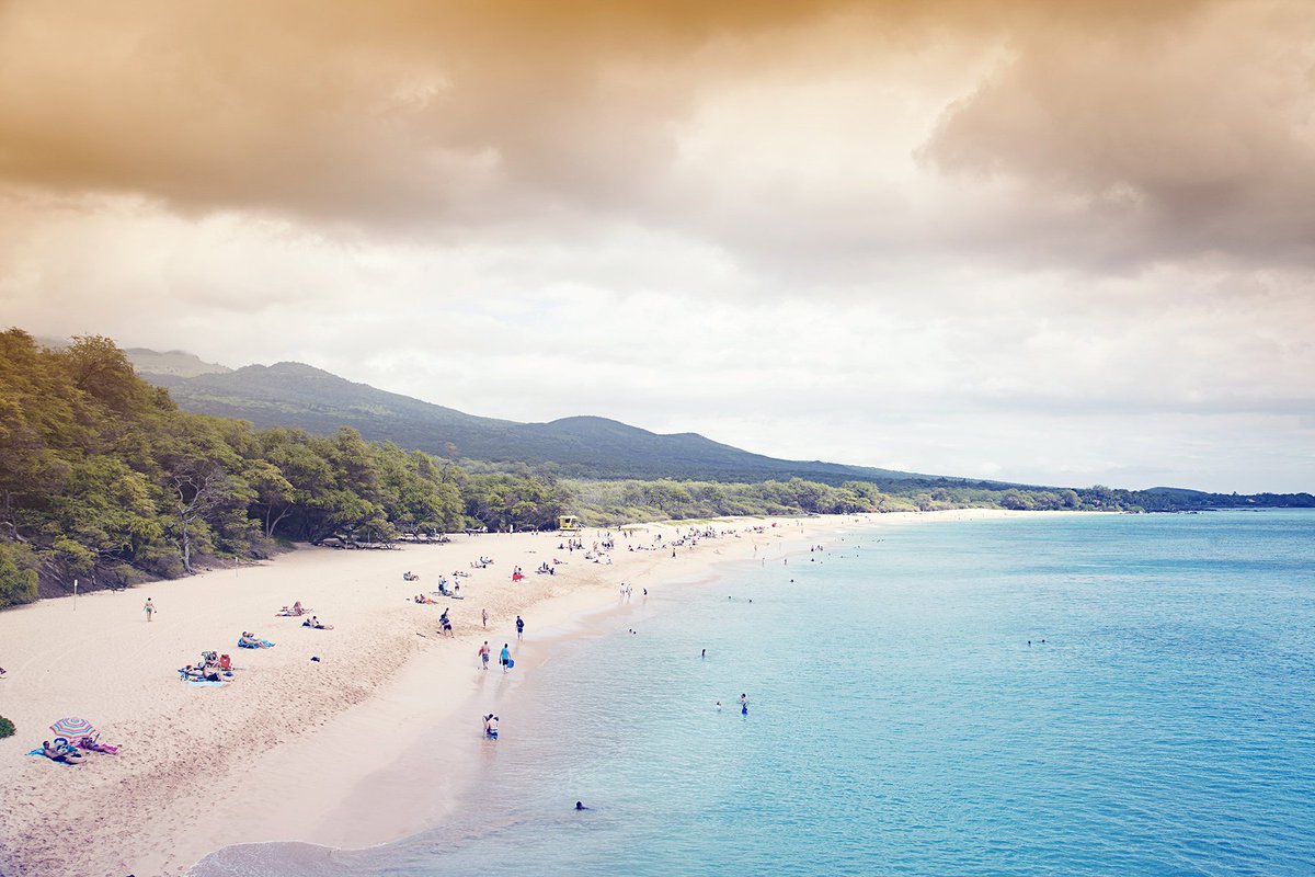 Timeraiser Calgary tweet media