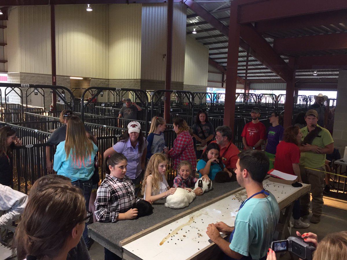 luv2shoot36's tweet photo. Northeast Arkansas District Fair Rabbit Show!!! Doing it Right!!! #judgethemlikeyoushould #reasons#teachthekids#Showmanship https://t.co/pZTCMpfjzG