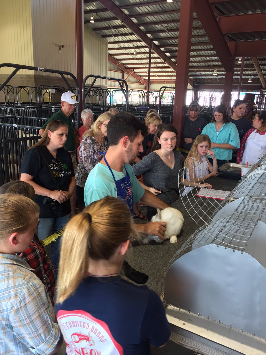 luv2shoot36's tweet photo. Northeast Arkansas District Fair Rabbit Show!!! Doing it Right!!! #judgethemlikeyoushould #reasons#teachthekids#Showmanship https://t.co/pZTCMpfjzG