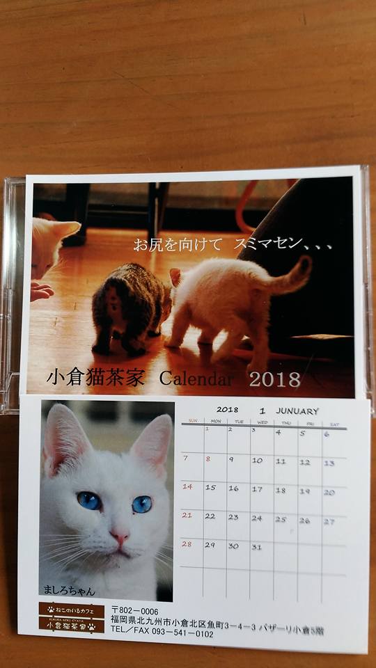 保護猫カフェ 小倉猫茶家 18年度カレンダー完成しました