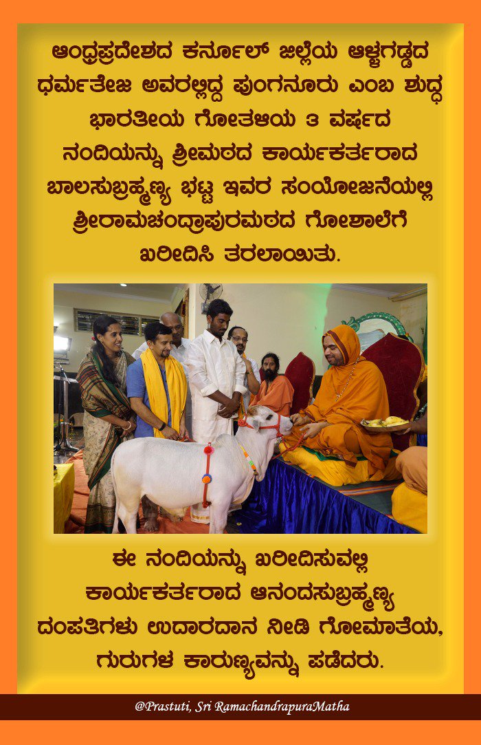 Prastuti_SRPM's tweet photo. ಶ್ರೀಮಠದ ಗೋಶಾಲೆಗೆ ೩೩ನೆಯ ಗೋತಳಿಯಾಗಿ ಸೇರ್ಪಡೆಗೊಂಡ ಪುಂಗನೂರು ನಂದಿ. ಇದರ ಹಿನ್ನೆಲೆಯಲ್ಲಿ ಸಹಕರಿಸಿದ ಕಾರ್ಯಕರ್ತರಿಗೆ ಗೋಮಾತೆಯ ಅನುಗ್ರಹವಿರಲಿ. @Maadhyama https://t.co/l6jnQHKA4s