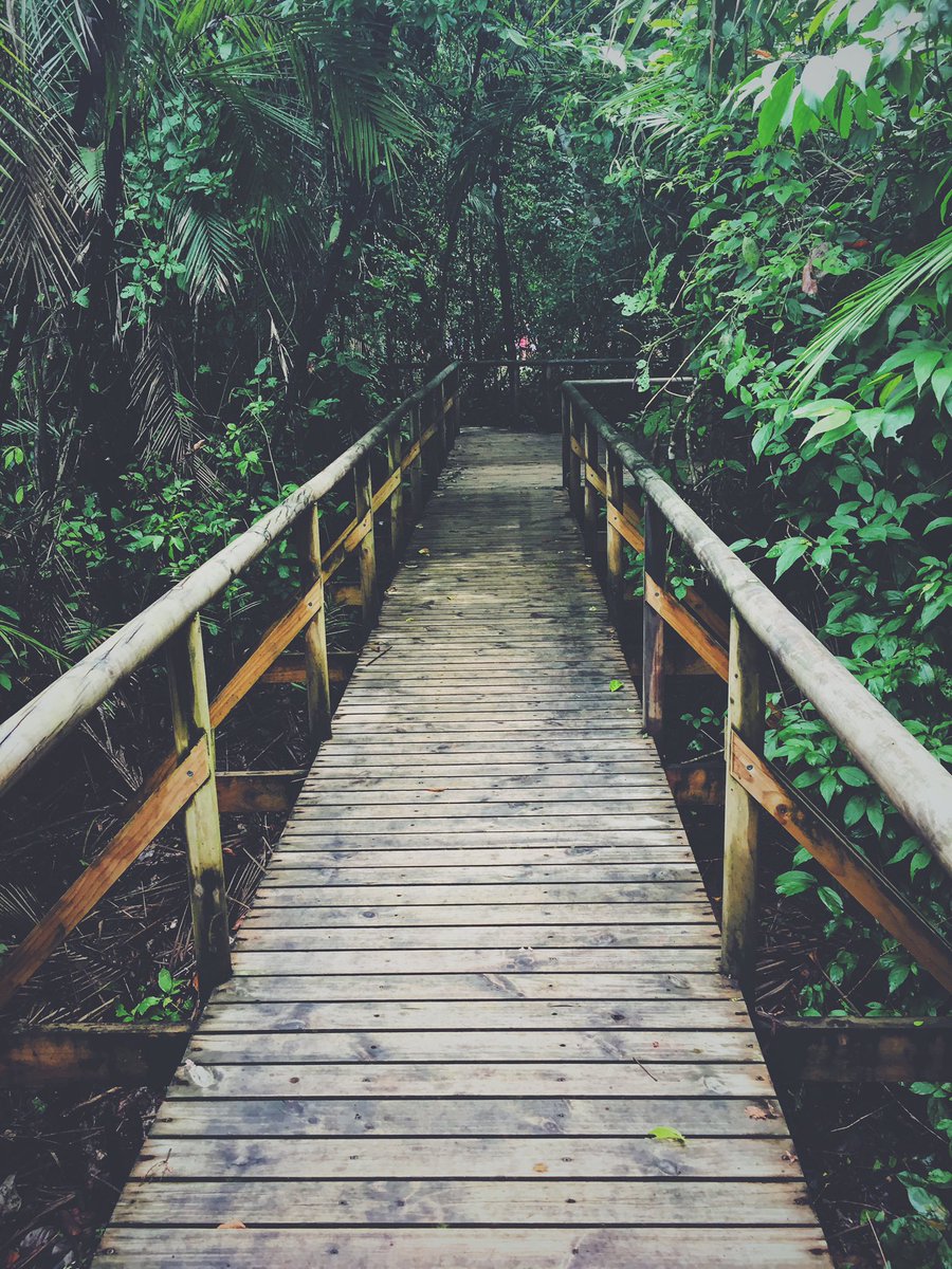 InnoVanProject's tweet image. "Si j'étais directeur transformation, je ferais..." - Nouvel article : bit.ly/2hffGBN #innovation #change #futureofwork