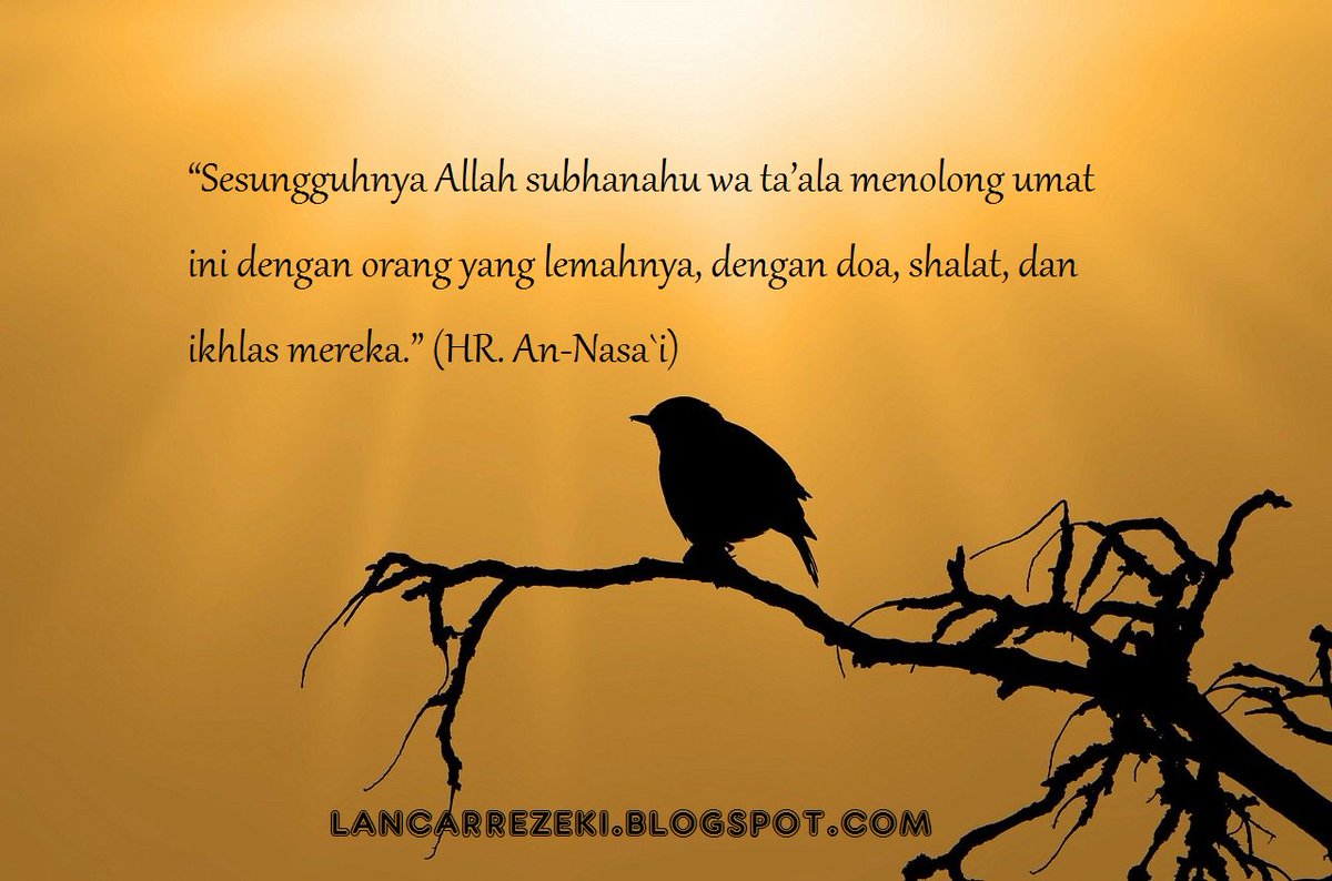 Amin ^^