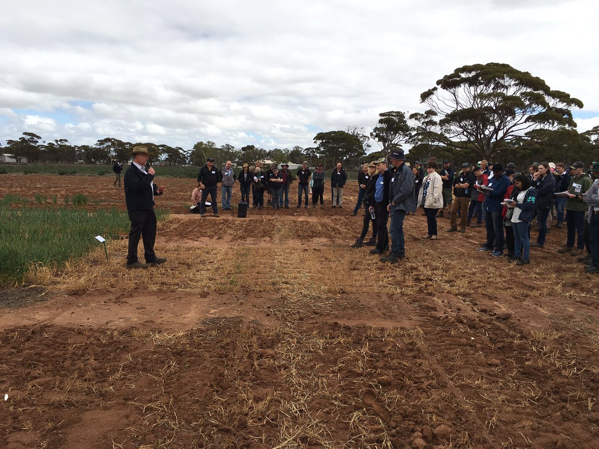 MADFIG14's tweet photo. @GlenRieth -The 5 S': seed (qual & treatment), stubble retention, separate seed & fert, soil contact & soft soil on top @DPIRD_WA #madfig17 https://t.co/5En6aQSfn3
