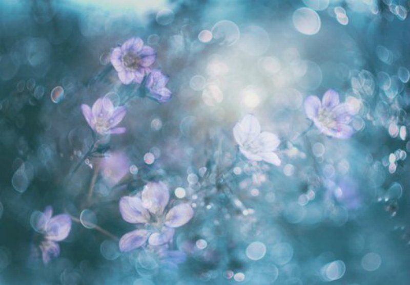 Elgar | Cello Concerto |  Jacqueline Du Pre 

youtu.be/XwMON0FsAaA 

Ph | Delphine Devos