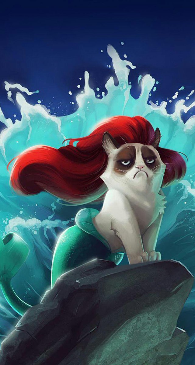 Myah131's tweet image. Lol arial/grumpy  #Mrsgrumpy