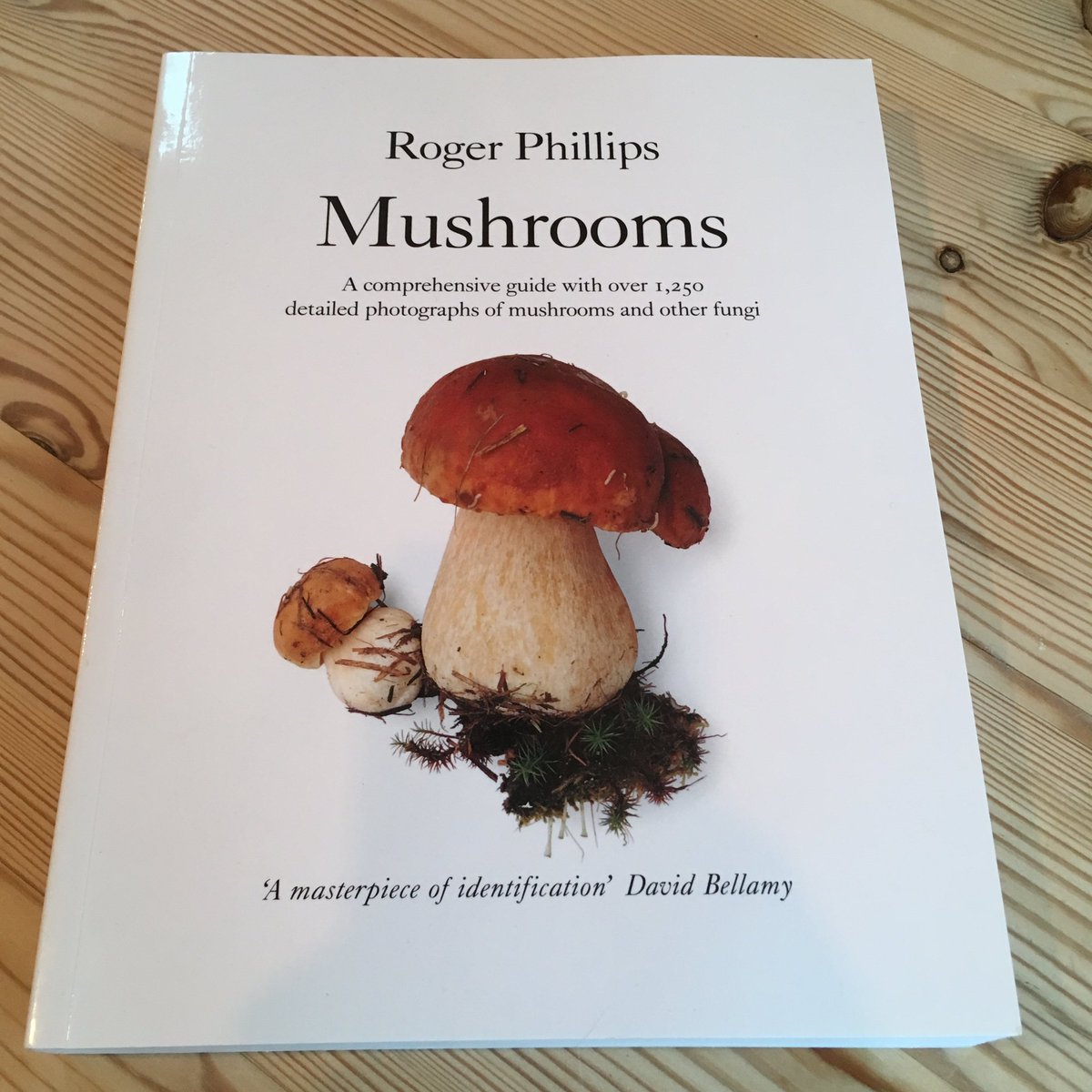 It's that time of year again.
As a kid I read my parents' mushroom books cover to cover, foraging for tasty examples every autumn weekend.