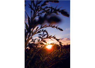 "20 Eylül'de Başak burcunda gerçekleşen yeniay, kara ay döneminin ardından yepyeni bir sürece start veriyor."
  bit.ly/2xdUXEJ