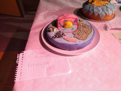 V4a won gistermiddag de bakwedstrijd met deze dierlijke-cellen-taart; v4c won de pubquiz.