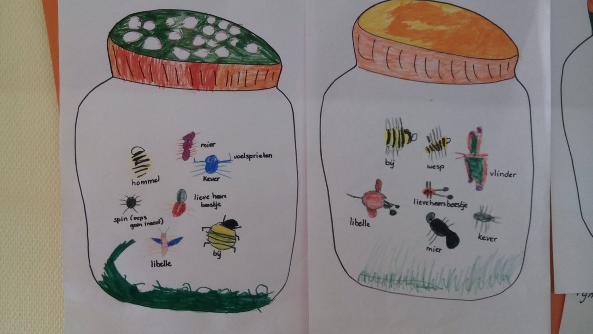 Ontdek de wereld | Groep 1-2 ontdekt allerhande kriebelbeestjes in hun omgeving!