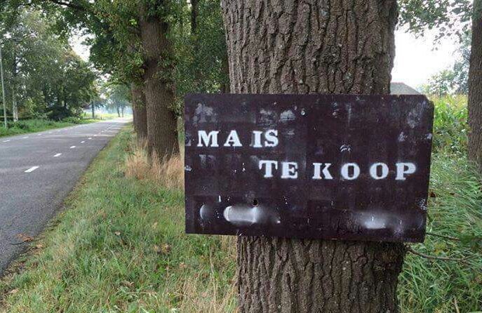 Je mag 'mais' schrijven, zonder trema, maar ook 'maïs', met trema. Er een spatie in plaatsen, is af te raden.