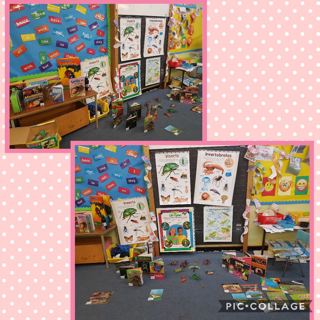 OLRprimary's tweet photo. Non-fiction afternoon is all set up for Primary 2!! #p2/1 #minibeastfacts #nonfiction #findtheinformation #takeyourpick #topic https://t.co/KbCW1whbnG