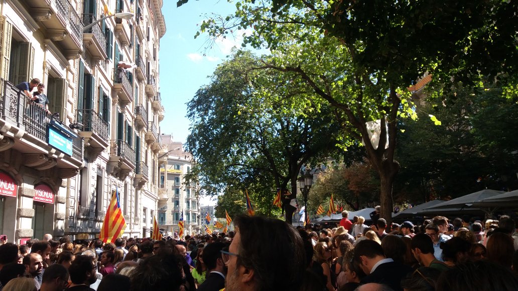MontseFreeCat's tweet image. Tothom al carrer a defensar la #democràcia!!! #1dO