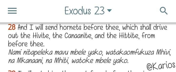 maka_webo's tweet photo. And the Lord said in Exo 23:28. Amen. #SupremeRuling #MeruPython B and C https://t.co/IVHEl8v6B7