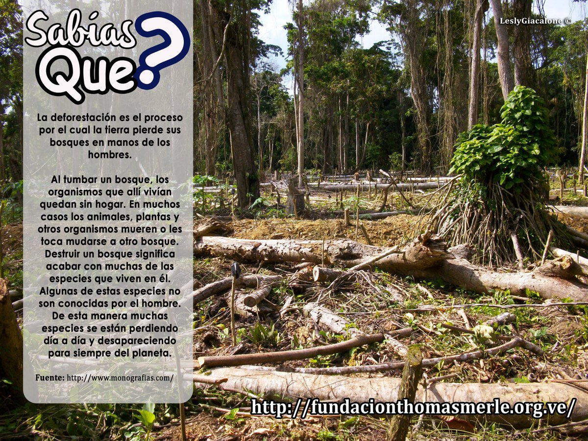 #sabiasque? #fundacionthomasmerle, #ambiente, #cerbatana, #paria, #educacionambiental