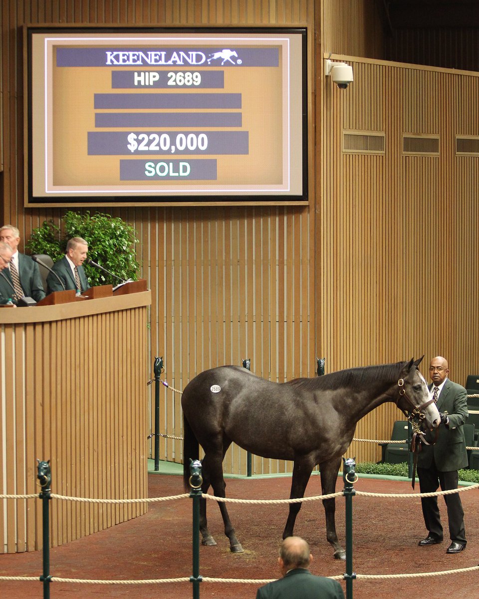 Three_Chimneys's tweet photo. Yearlings by #StrongMandate continue to sell well @keenelandsales! Hip 2689, bred by Rosilyn Polan, sells to Ike &amp; Dawn Thrash for $220,000! https://t.co/nJhTK9SAdn