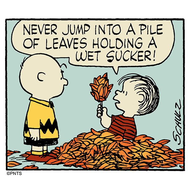 Snoopy's tweet photo. Linus's advice for fall 🍂 https://t.co/wXXgGlKO9s