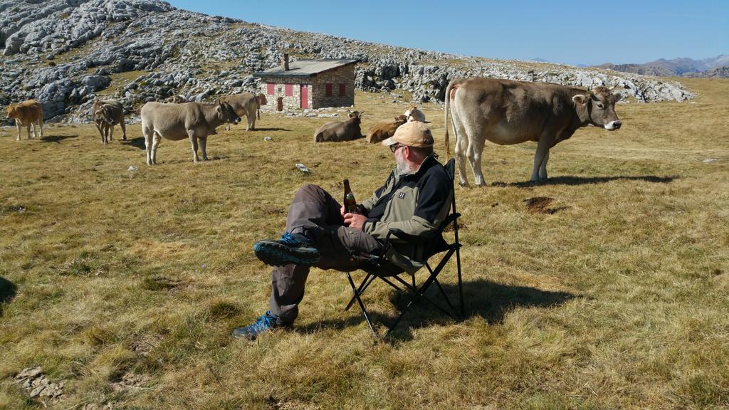 Dalph's tweet image. Hmm, Eindringlinge im Revier?