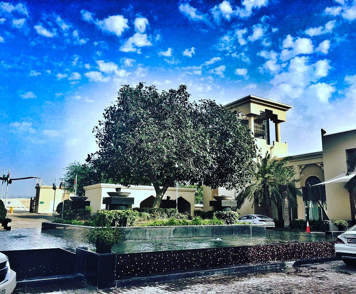 SardaMadhu's tweet image. #bahrain #photo #series #no8  #manama #bahrain unlocked #lmbahrain  #travel #my #mypic #pot #tb  #blog #life  #sun #sunset #summer #nature