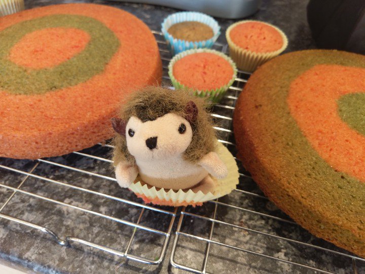 GrumpyHerman's tweet image. Herman did a good job guarding #cake last weekend. Good hedgehog.
@FuriouslyFree