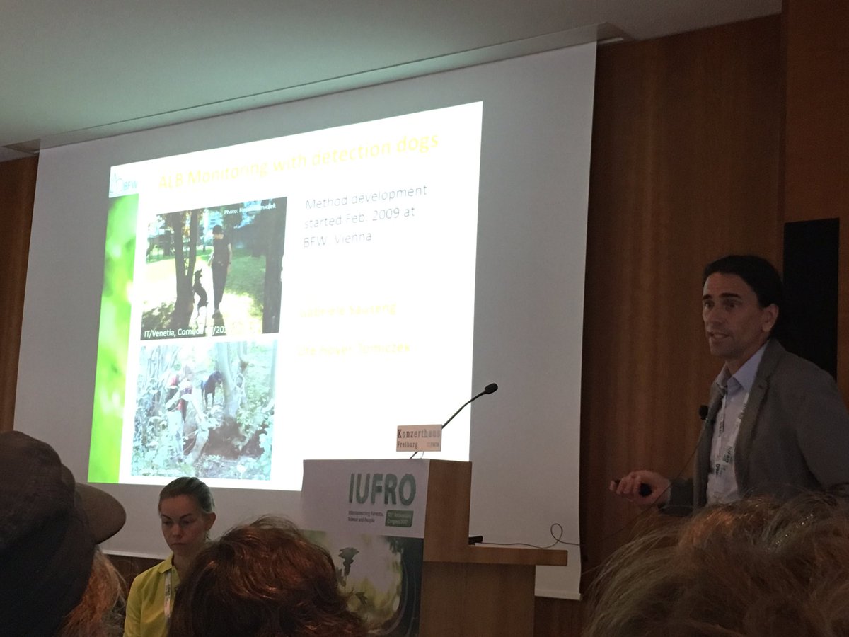 docaroe's tweet photo. Detecting ALB and CLB with sniffer dogs! Presented by Dr. Hoch from BFW in Austria - Anoplophora-Spurhunde prg @BioSAFE_genome #IUFRO2017 https://t.co/m1riRw3Ksw