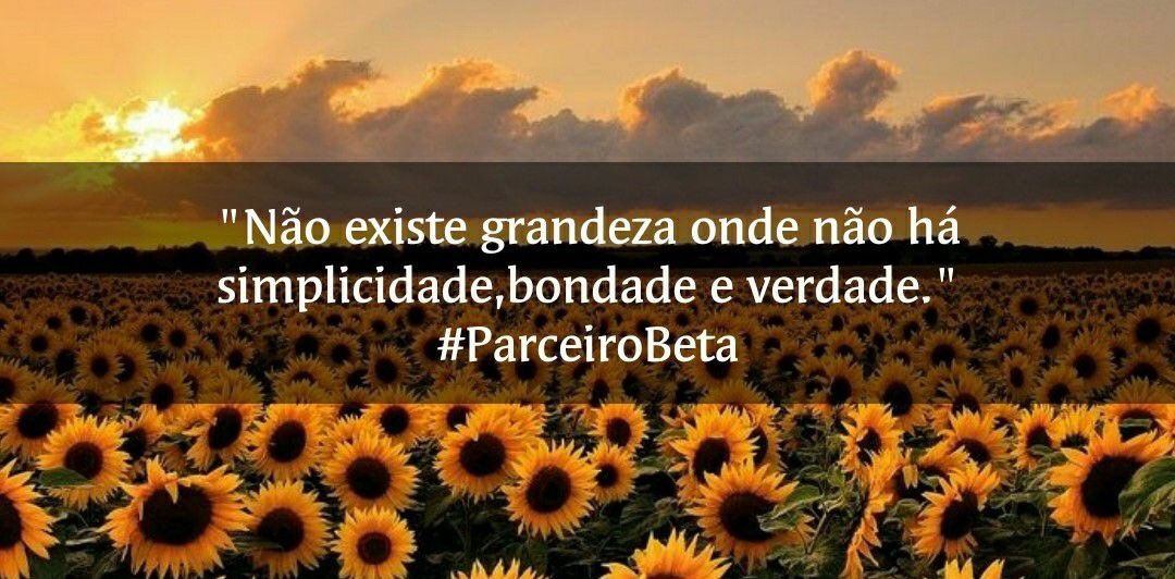 RHS001's tweet photo. #PARCEIROSBETA https://t.co/pXPPqXDMJm