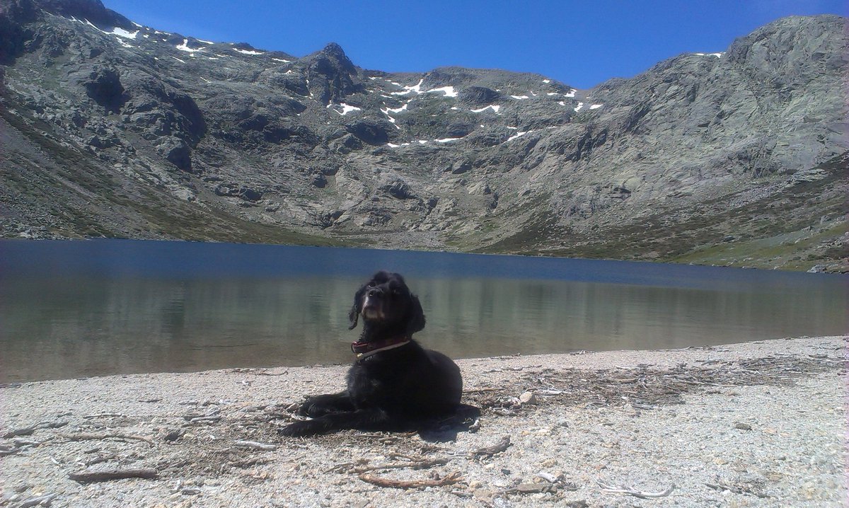 ~$hadow~ tweet media