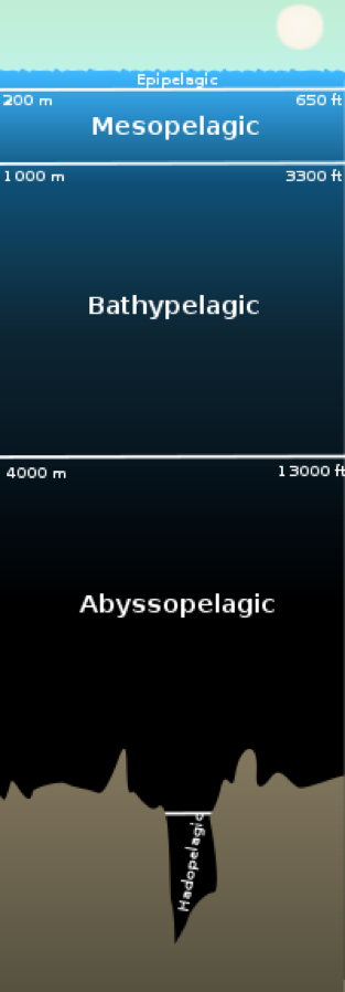 Besties in the Dark submesoscale.org/2017/09/20/bes…