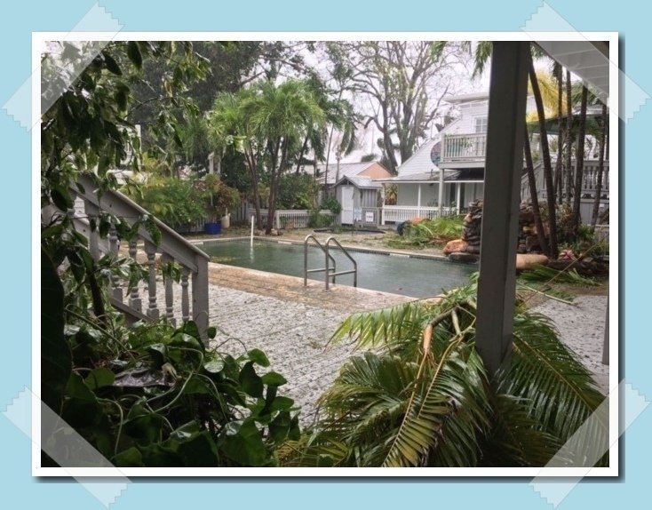 goodmansgin's tweet photo. Our beloved hotel in Key West, inspiration for Goodmans gin did not suffer too much from Irma. https://t.co/pqZrRJhIXu