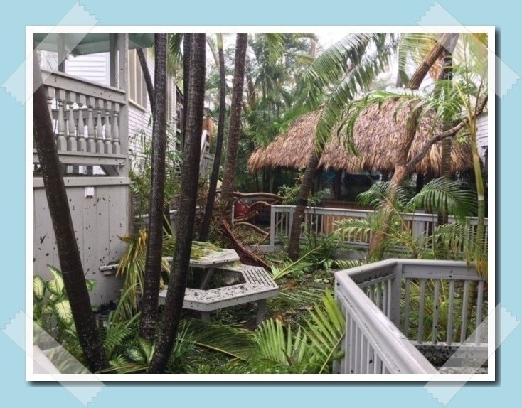 goodmansgin's tweet photo. Our beloved hotel in Key West, inspiration for Goodmans gin did not suffer too much from Irma. https://t.co/pqZrRJhIXu