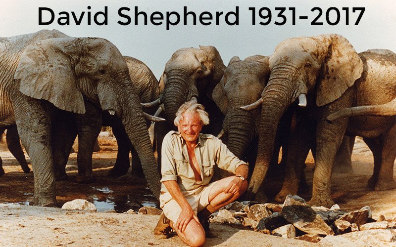 DSWFWildlife's tweet photo. It is with great sadness that we announce the death of wildlife artist and conservationist David Shepherd, FRSA, CBE https://t.co/swkkLirR0n https://t.co/j37JAYoQRj