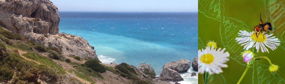 TransmitScience's tweet image. You can #BeTheFirst ...
New course in our new venue!
#TScourse An introduction to #Metagenomics and #Metabarcoding
transmittingscience.org/courses/geneti…