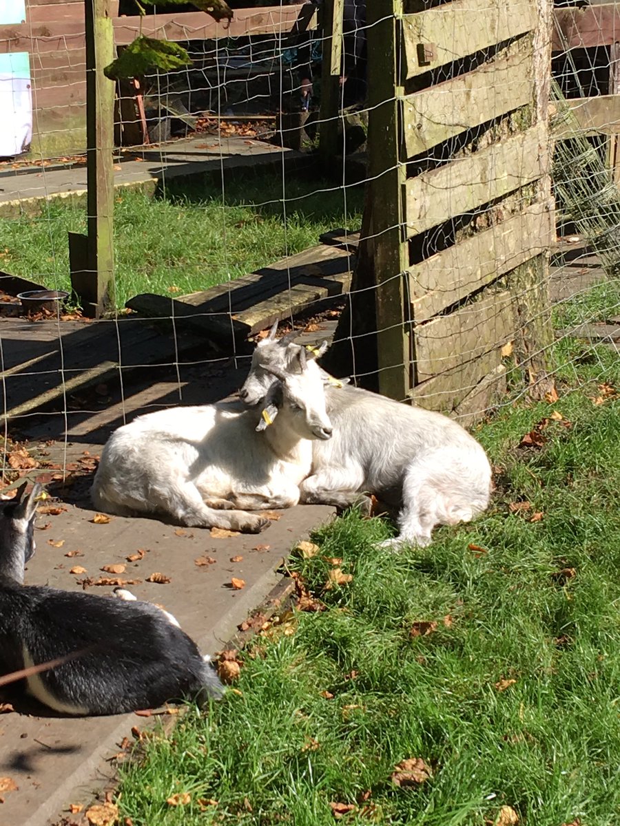 Hillhead Charity tweet media