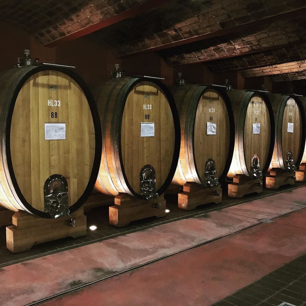 Cornerstone_PR's tweet photo. Deep in the cellars of Cantina Valle Isarco, tasting wine and making memories 🍷#presstrip #drinkaltoadige #altoadi… https://t.co/hXhLnLd7Pj https://t.co/NOlKo7rnib