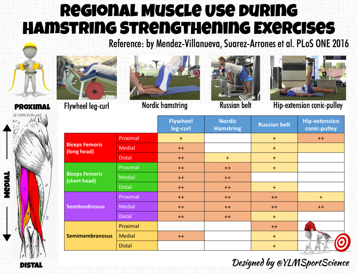 YLMSportScience tweet media
