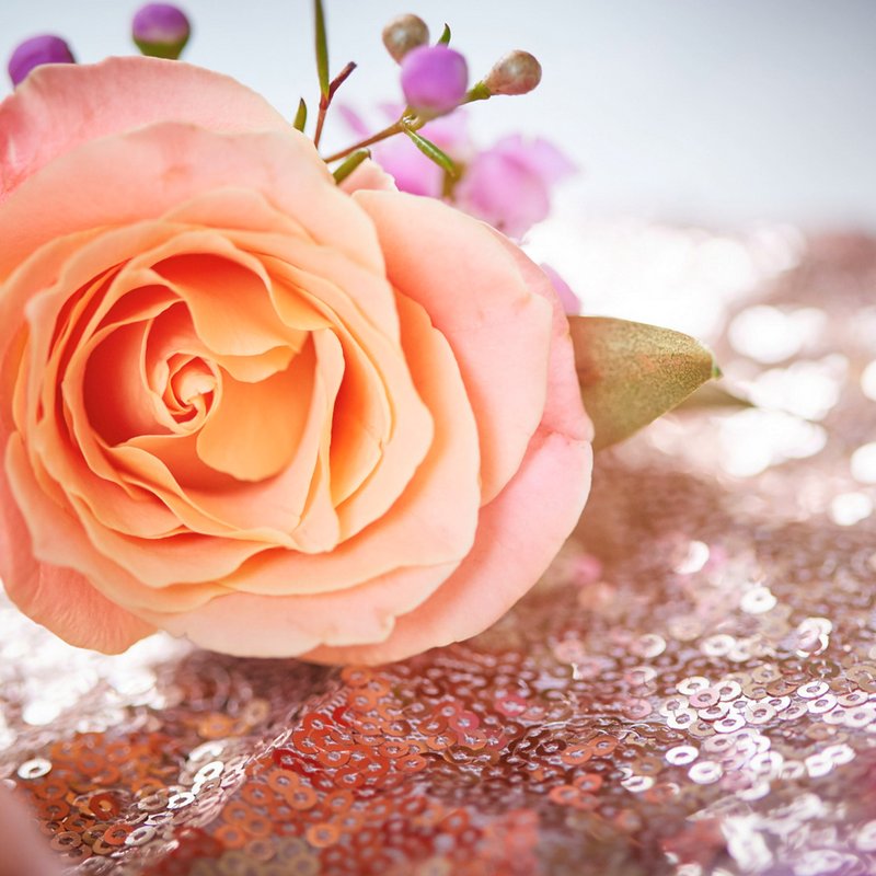 Never let anyone dull your sparkle. What's your go-to inspirational saying? #MondayMotivation