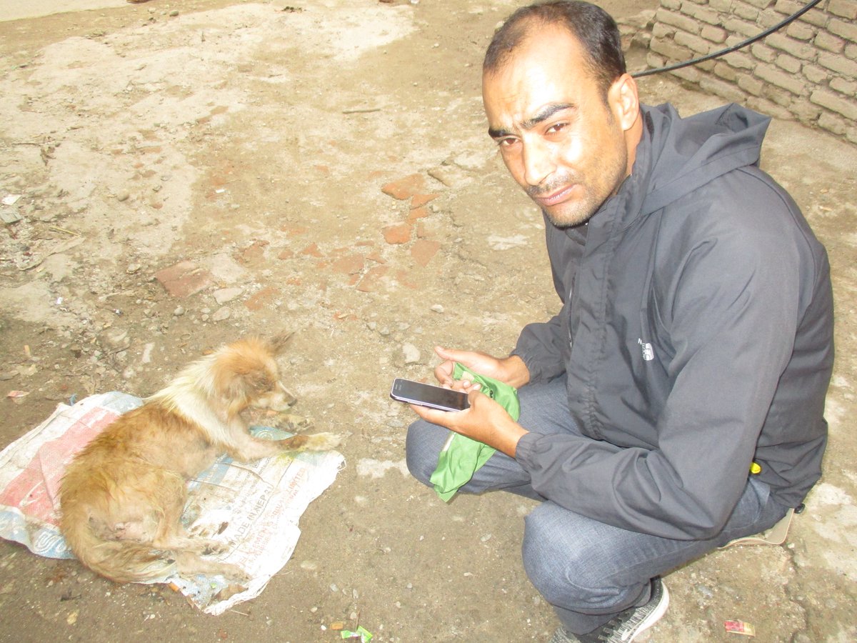 AnimalNepal's tweet photo. Every day is working day for us# Our team tries to respond # distress and help the injured street dogs.We hope for their full recovery. https://t.co/q2dikaVzIj