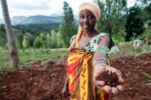 panoply_digital's tweet photo. Alternative Credit Scoring Models for Smallholder Farmers https://t.co/GJvVfAZz2D #m4dev #m4d #fintech https://t.co/KWymSv49RM