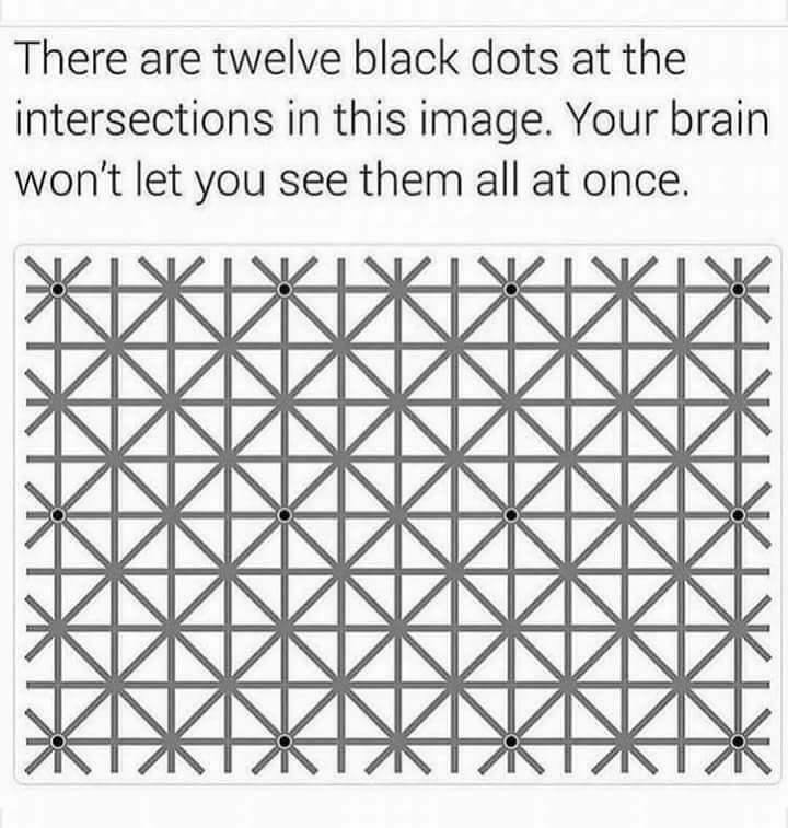 squircle_studio's tweet photo. Can't... See... Dots... #woahwednesday https://t.co/WkU05wfi1n