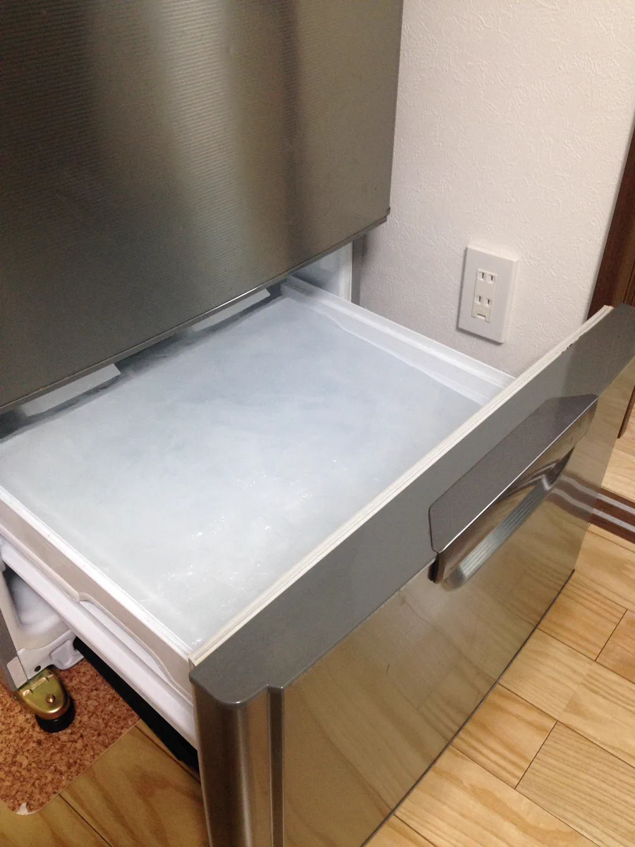 氷河期到来ｗ冷蔵庫の冷凍室を1年放置するとこうなるｗｗｗ