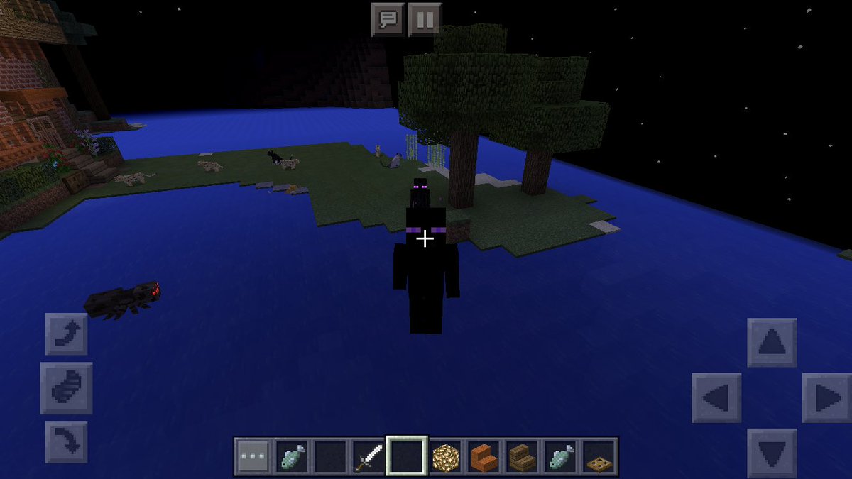 ひろう エンダーマンの妖精 Hirowhellow Twitter