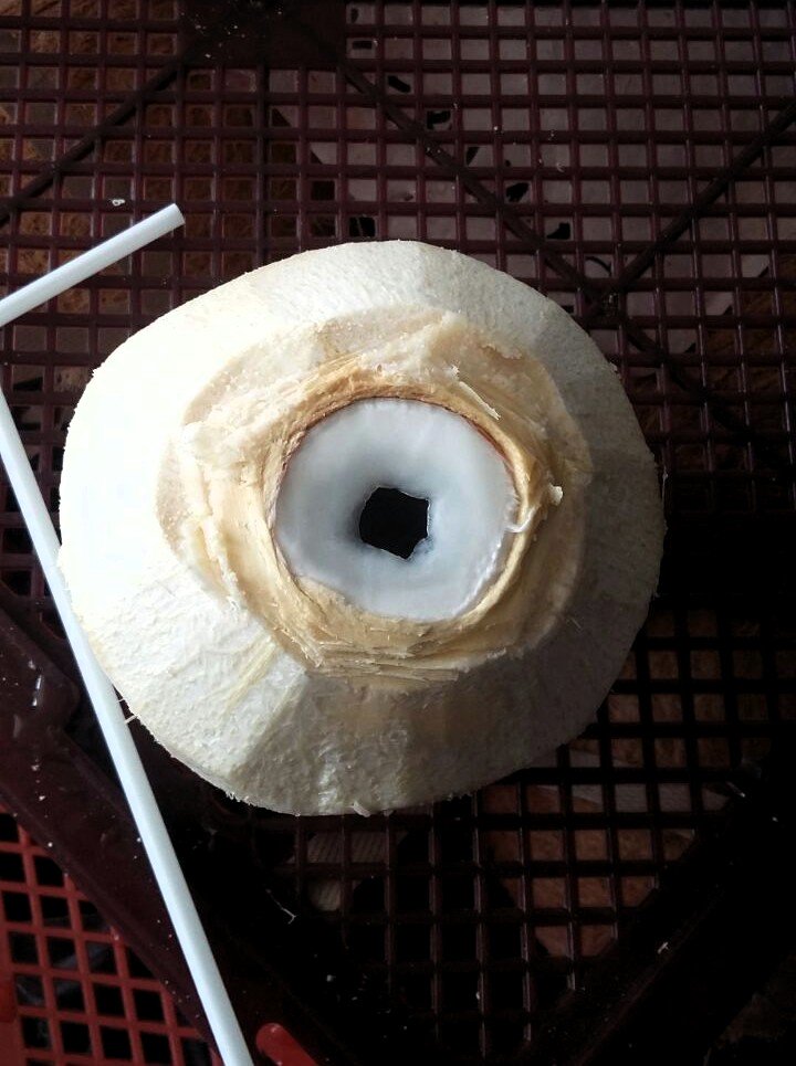 JavaFresh_Fruit's tweet image. ☀ One straw + One coconut = Happiness mode 😋💦😎🌴#noixdecoco #rungis #coconutwater #refreshing