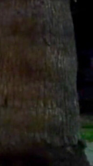karli_vt's tweet photo. There's something there.. @BrennenTaylor @ColbyBrock https://t.co/hr8TmEvWZf