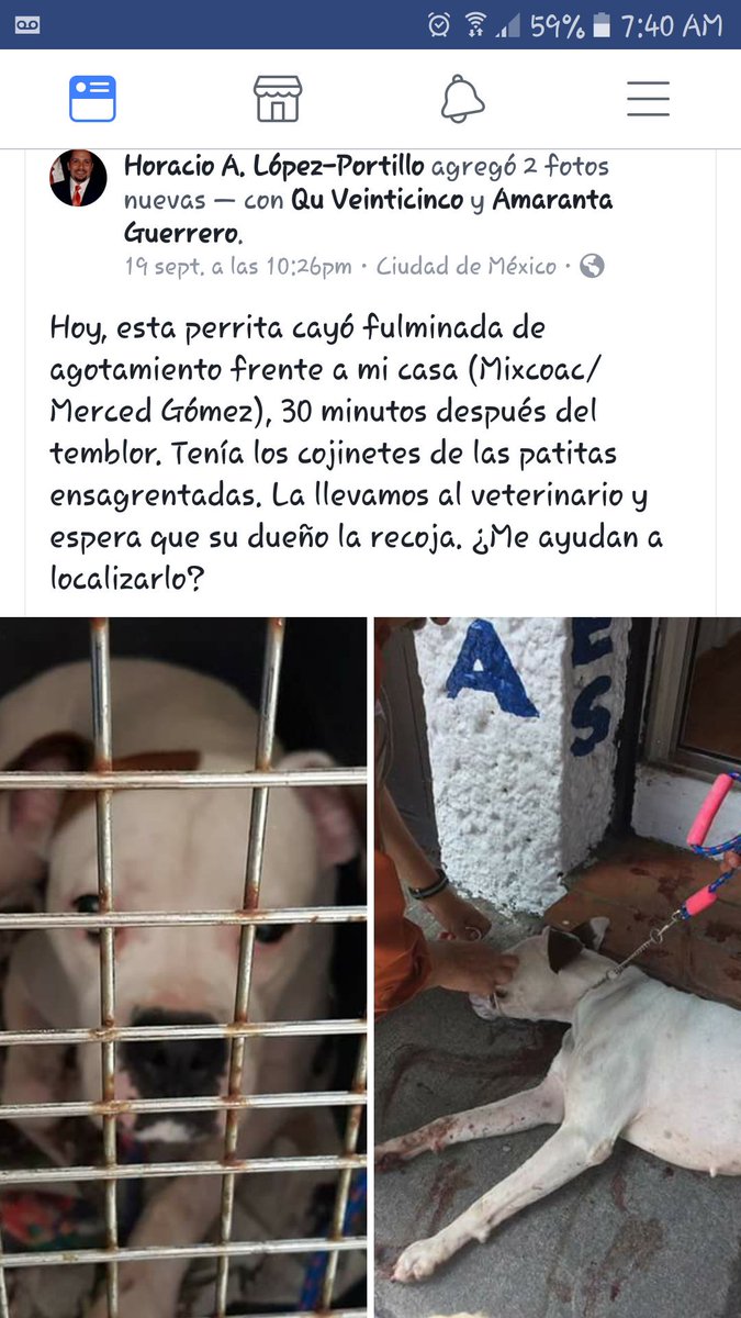 AdrianaLpzz's tweet photo. #AyudaCDMX compartir https://t.co/mehW2gaDdO