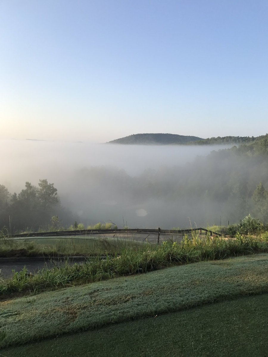 Robert Mitchell tweet media