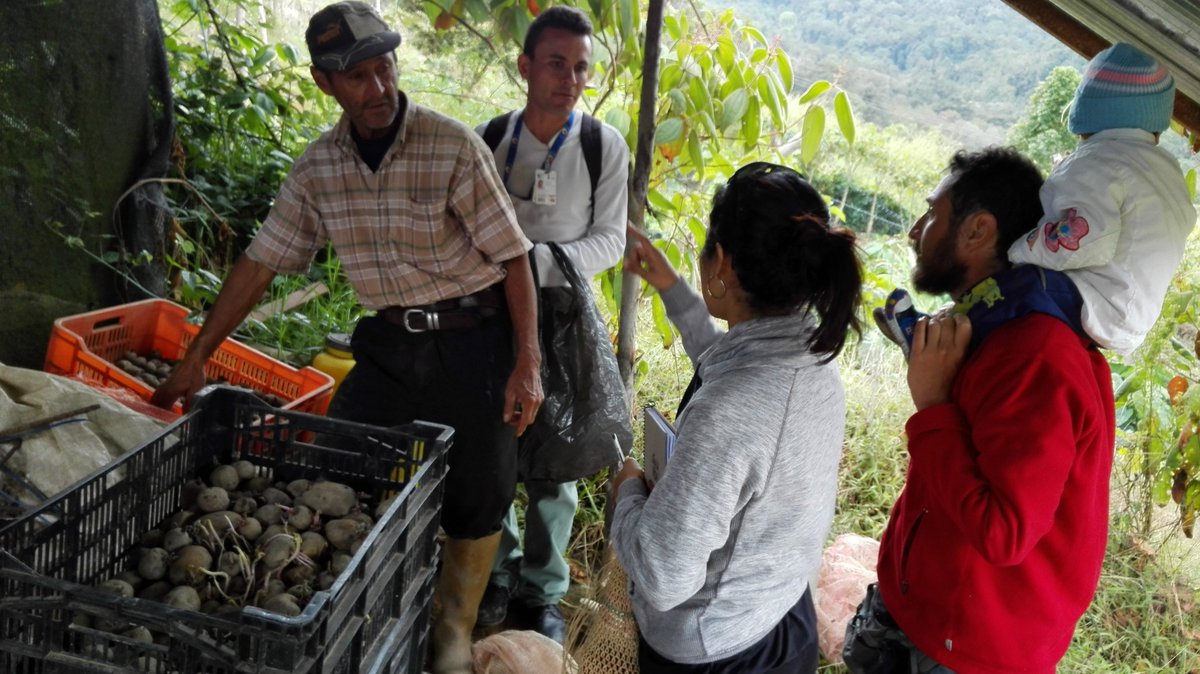 IVICdeMerida's tweet image. @UniArco-@LabEcoSen realizan intercambio de experiencias agro-ancestrales papa nativa en comunidades agrícolasd de Mérida...
